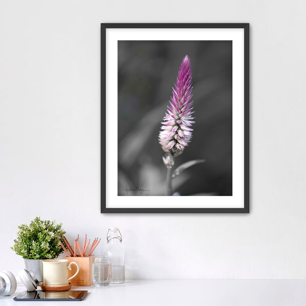 Not Afraid to Stand Out