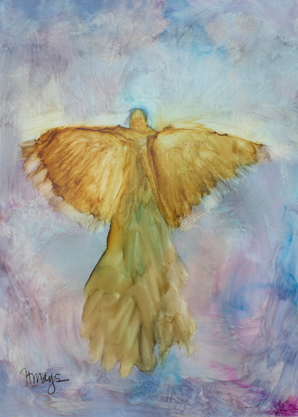 Angel 011