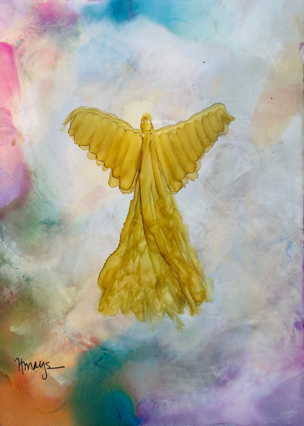 Angel 024